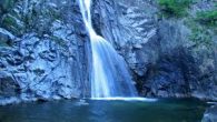 Ni leche ni refrescos. Lo ideal es que los niños beban agua durante la comida y la cena, debido a que el agua es la única bebida que no solo […]