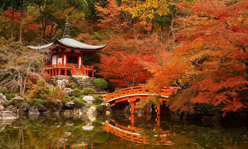 Una de las épocas más hermosas para visitar Japón –además de la primavera para contemplar los cerezos en flor- es el otoño. Durante esta estación se puede disfrutar de las […]