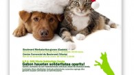 Estas Navidades puedes regalar solidaridad, acude al Rastrillo que realiza la Asociación APASOS Vitoria, con los fondos recaudados se costearán las operaciones de los animales, en general perros y gatos […]