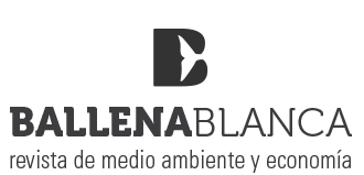 ballena_blanca